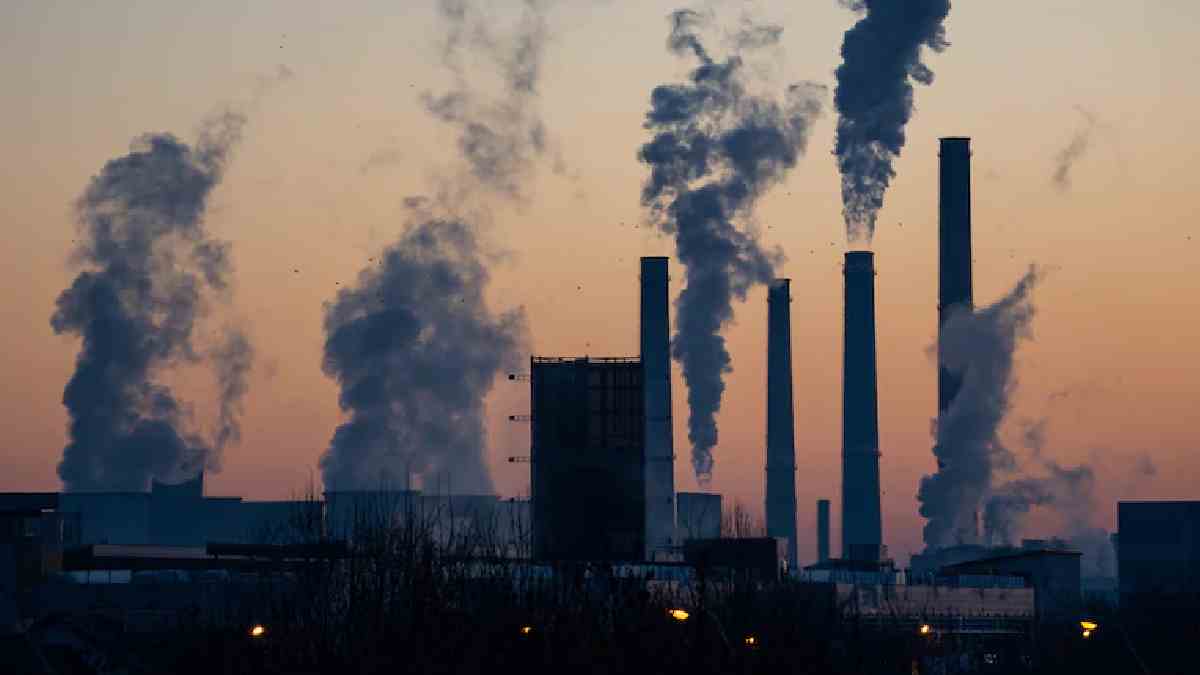 India's June IIP Growth Hits 23-Month High at 7.3%, Manufacturing and Capital Goods Lead Industrial Surge