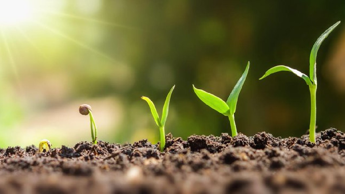 How to Scale a Small Business: 10 Smart Strategies for Long-Term Success