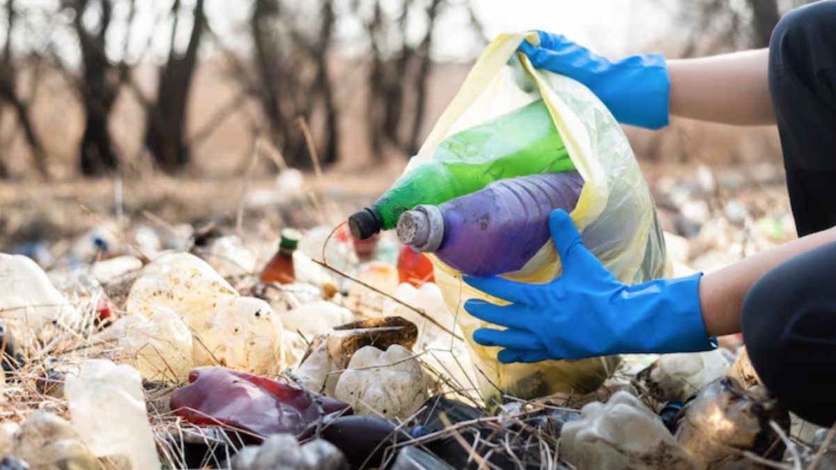 Plastic-Free Villages: Inspiring Success Stories Leading India's Green Revolution
