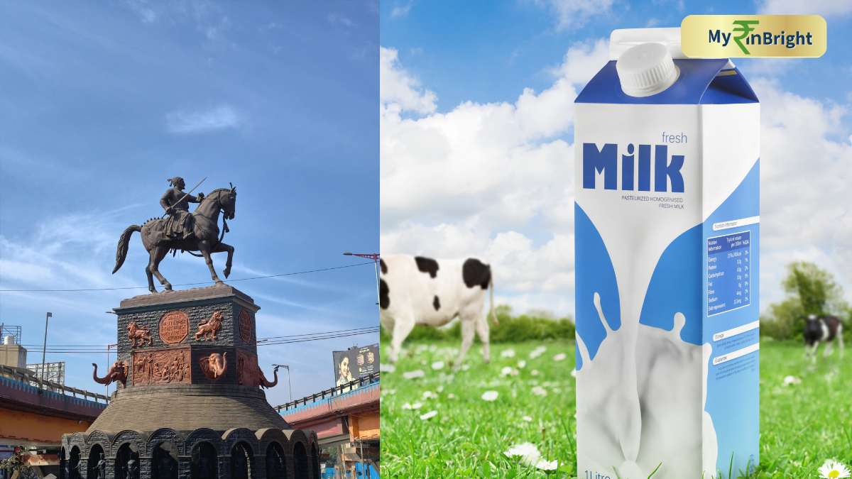 Milk Gets Costlier In Maharashtra From Today As Prices To Increase by Rs 2 Per Litre