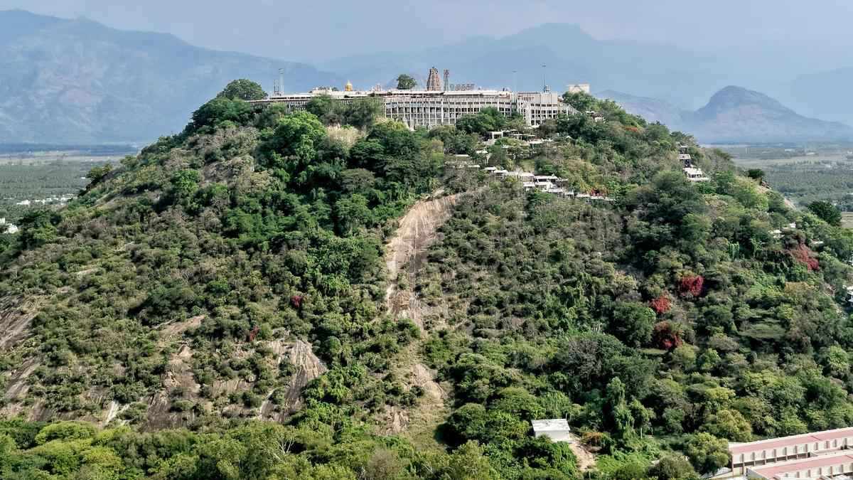 Tamil Nadu Orders Probe Into Alleged ₹100 Crore Palani Temple Land Scam