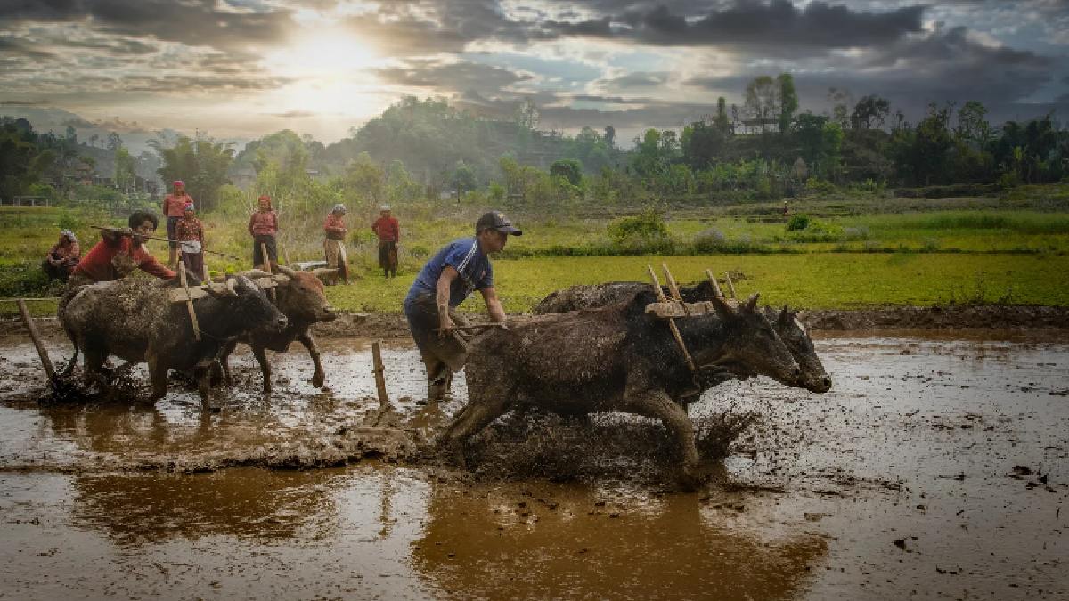 Government Schemes for Farmers in India