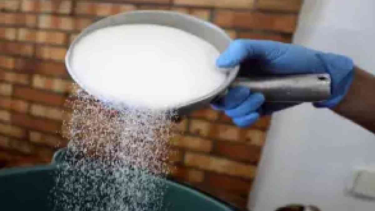 Balrampur Chini, Bajaj Hindusthan, Renuka Sugars Down