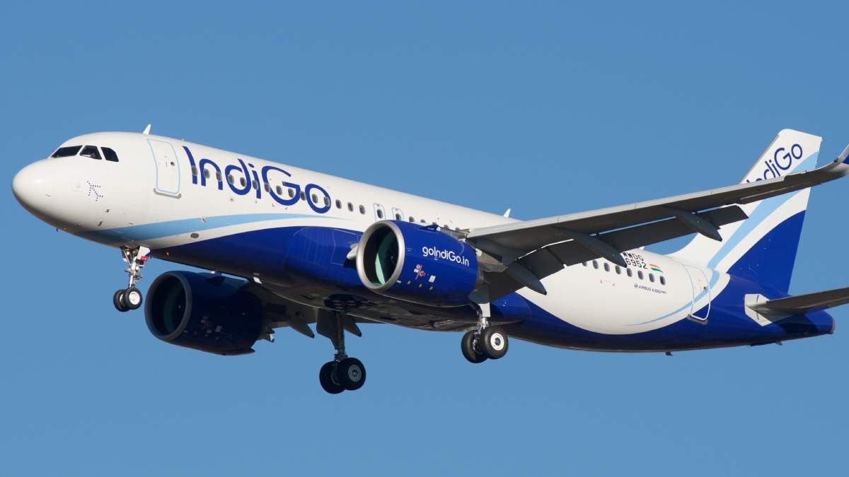 IndiGo Celebrates 20 Years With 20,000 Free Domestic Flight Tickets: Eligibility and Offer Details